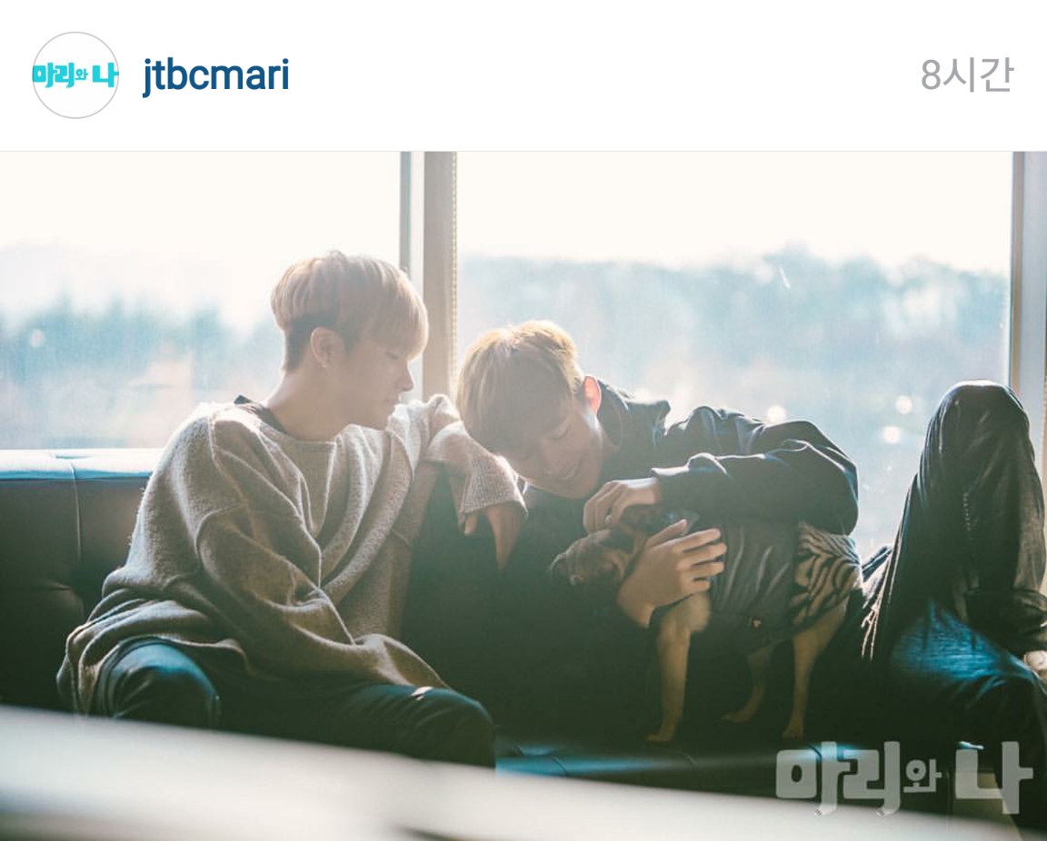 곧 아빠가 되는 아이돌 | 인스티즈