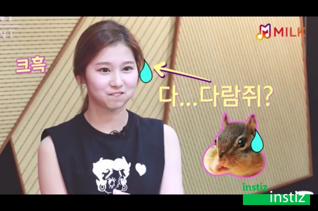 토끼,햄토리같은 아이돌.jyp | 인스티즈