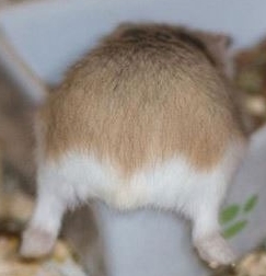 "주이나 나 낑겨써오" | 인스티즈