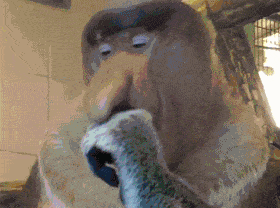 웃음을 유발하는 짤들.gif | 인스티즈