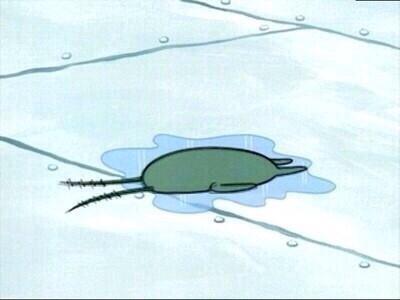 솔직히 내 전본진에 비하면 지금 방탄이들이 겪고 있는 일들은 | 인스티즈