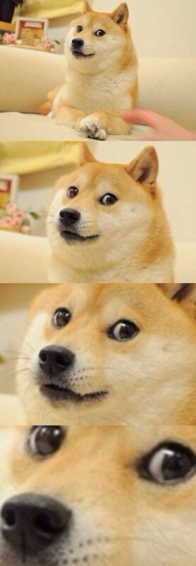 여러가지에 지친 익인들을 위한 소소한 짤 방출 | 인스티즈