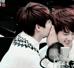 희귀짤 도전!! | 인스티즈