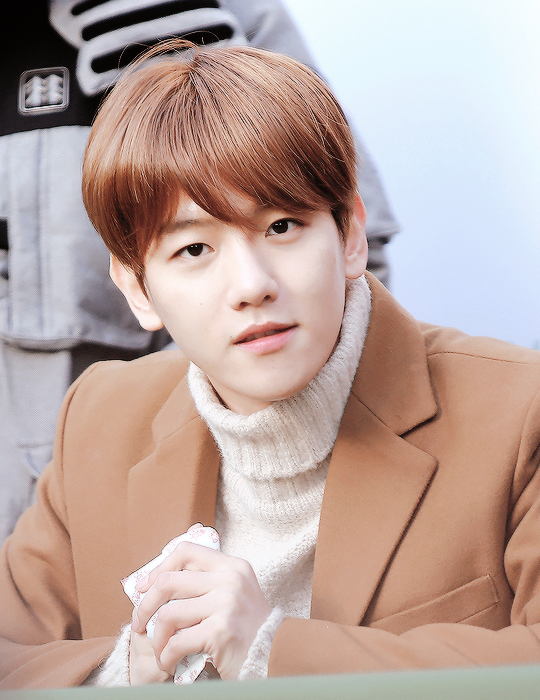 [EXO/백현] 변백현 똑 닮은 의대생이랑 결혼 한 언니썰1 | 인스티즈