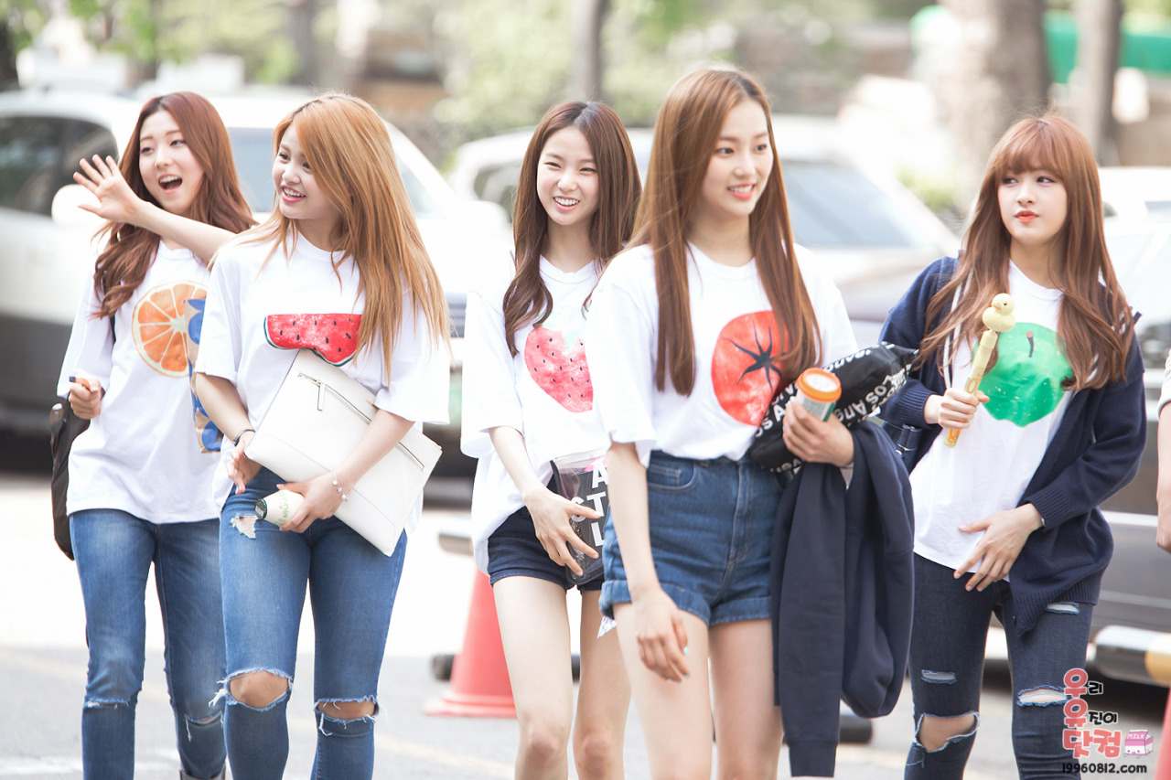 ❤씨엘씨 과일들❤ | 인스티즈