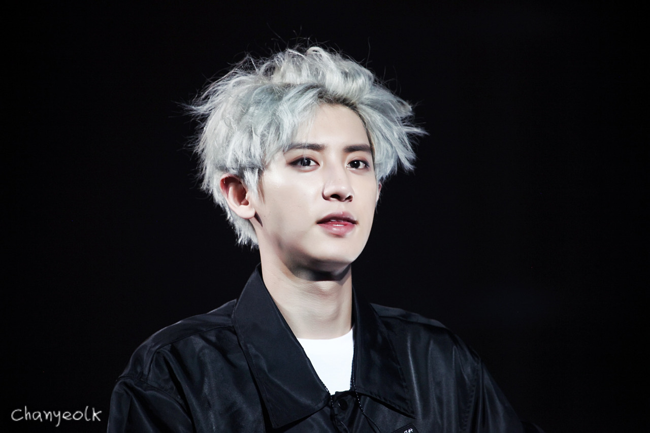 [EXO/도경수] 도경수가 내 주인인 썰.00 | 인스티즈