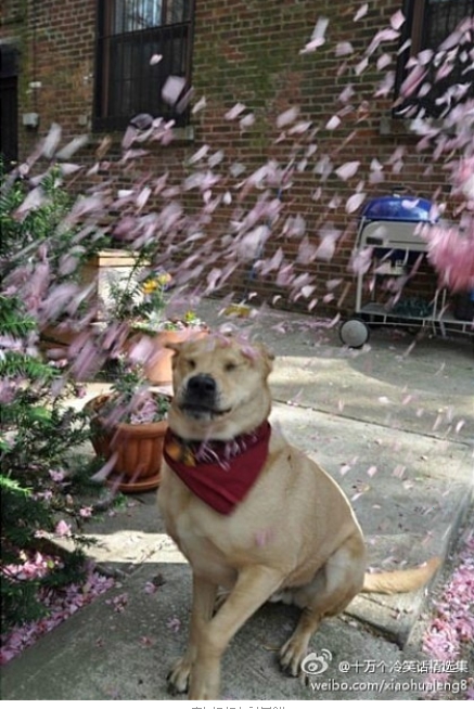 여러가지에 지친 익인들을 위한 소소한 짤 방출 | 인스티즈