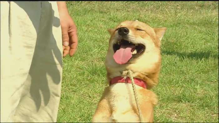 비정상회담) 정들아..나정 캐나다 대사관 가게됨ㄷㄷ | 인스티즈