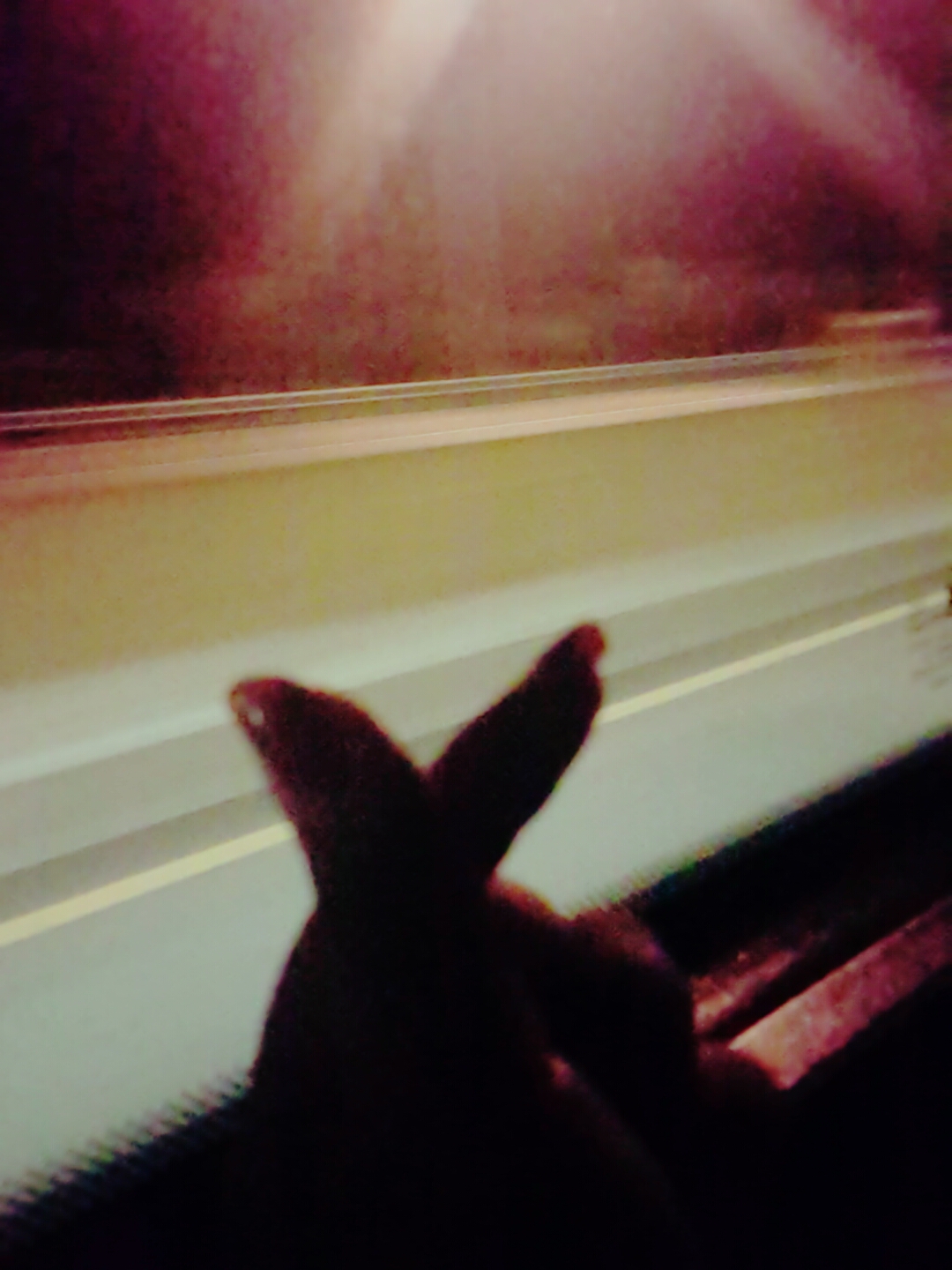 좋아하는 사람과 오늘 [500일] 입니다 | 인스티즈