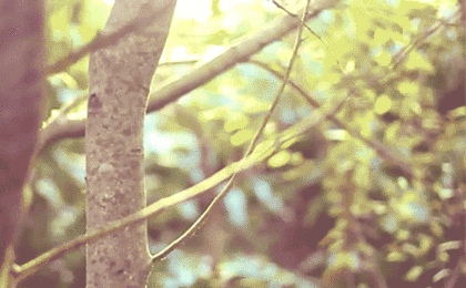 [방탄소년단] 전생을 읽는 소녀 11 [B] | 인스티즈