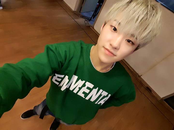 세븐틴 호시 자기세뇌 82일째 40 | 인스티즈