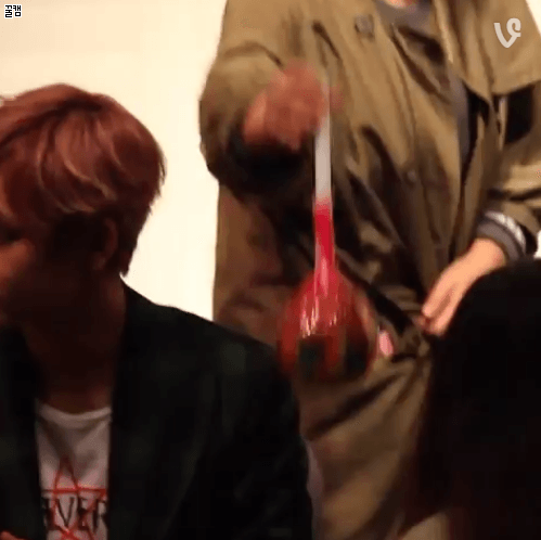 혹시 본진들의 바보... 가틍ㄴ... 짤 있어? 예를 들면 | 인스티즈