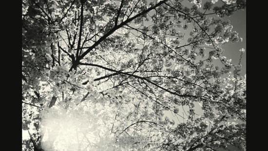 감성 돋는 가사가 특히나 돋보이는 새 앨범.txt_jpg (짠내주의) | 인스티즈