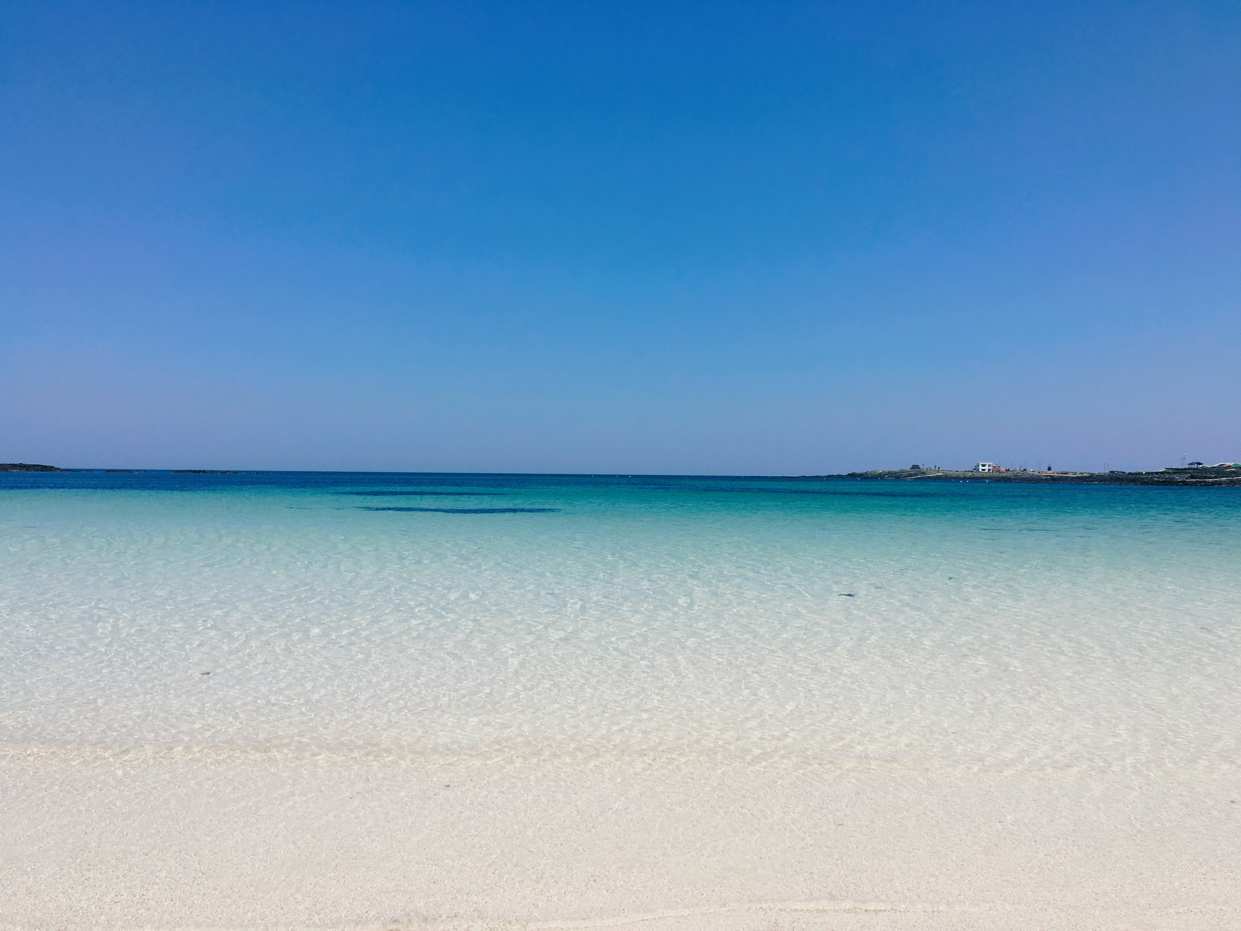 혼자 우도 여행하면서 찍은 사진들 40 | 인스티즈