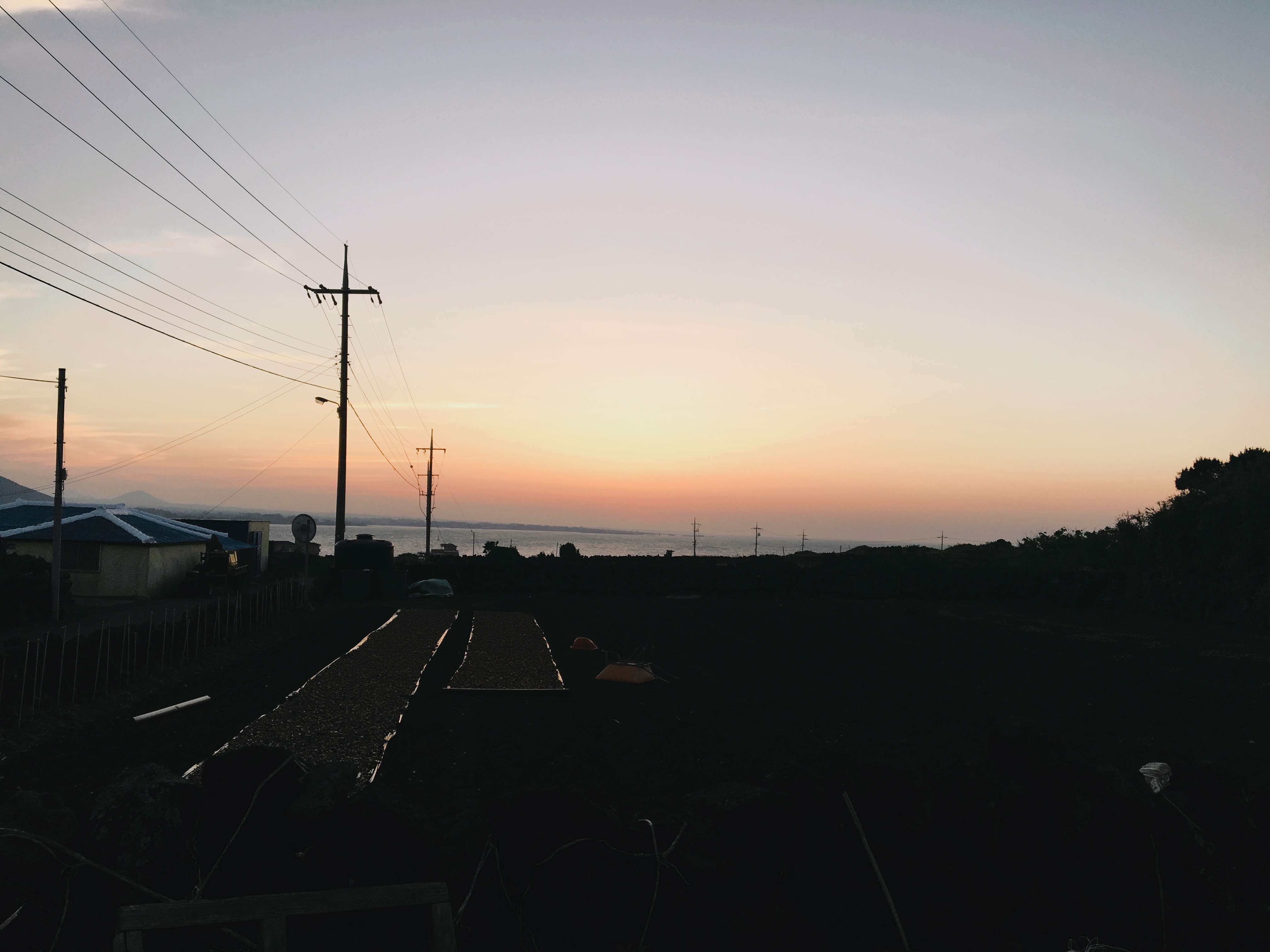 혼자 우도 여행하면서 찍은 사진들 40 | 인스티즈