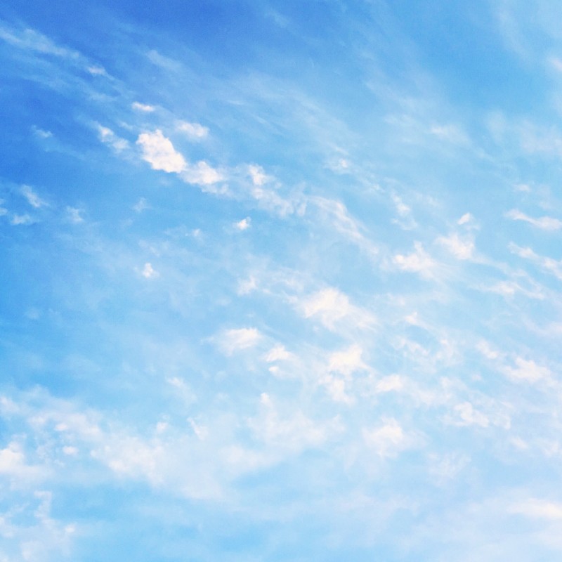 나는 아이폰으로 찍은 자연 사진 40 | 인스티즈