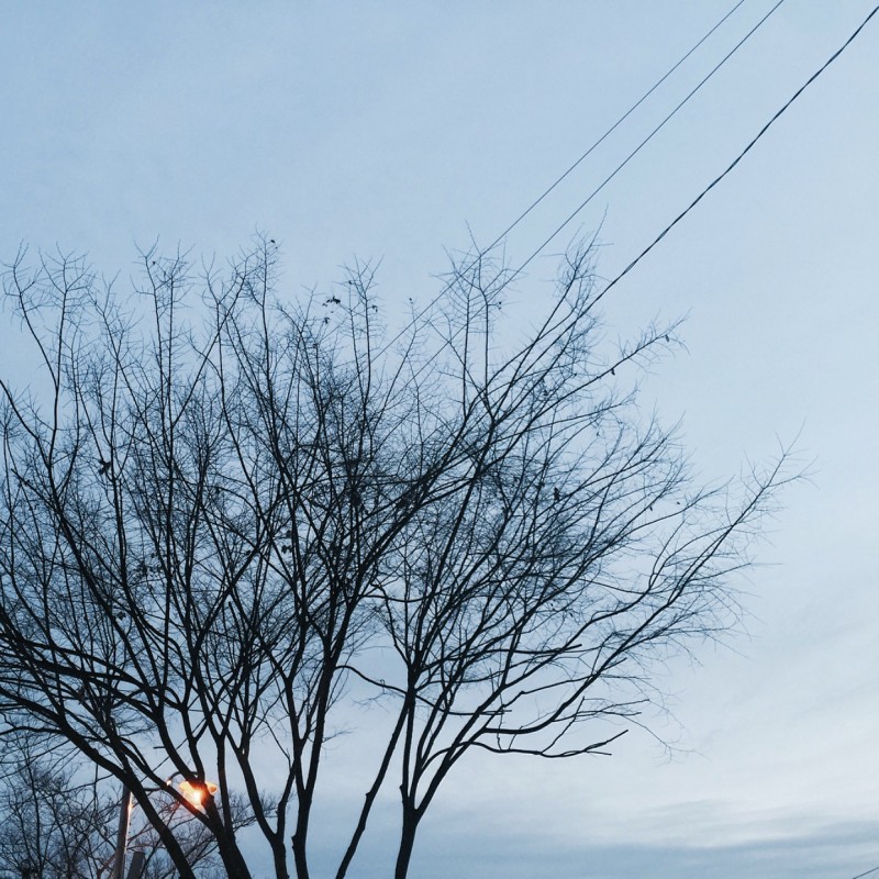 나는 아이폰으로 찍은 자연 사진 40 | 인스티즈