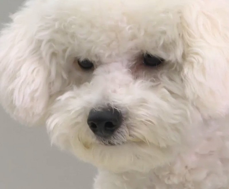 중학생땐 | 인스티즈