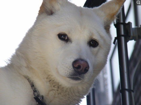 쌍수하고오겠다 | 인스티즈