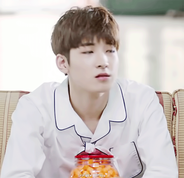 [세븐틴/전원우] 싸가지 모델 전원우 길들이기 01 | 인스티즈