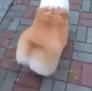 여러분들의 일주일 입니다 | 인스티즈