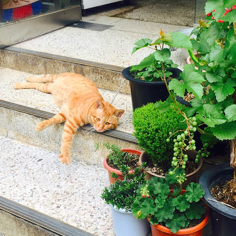 나는 아이폰으로 찍은 자연 사진 40 | 인스티즈