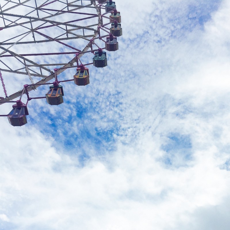 나는 아이폰으로 찍은 자연 사진 40 | 인스티즈
