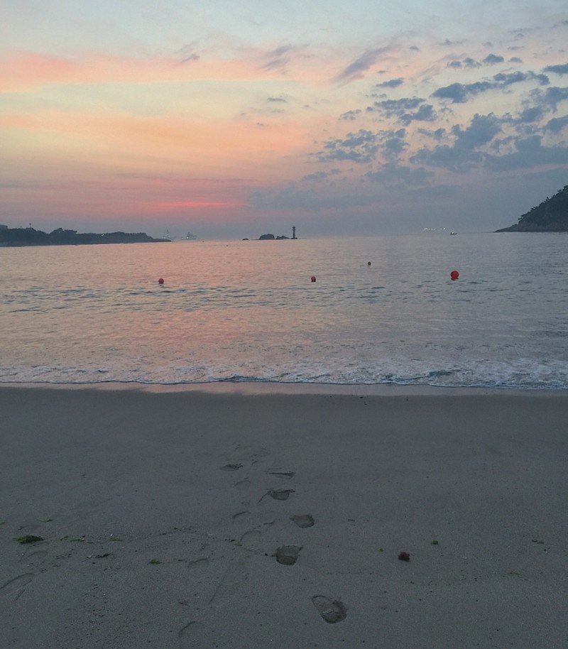 나는 아이폰으로 찍은 자연 사진 40 | 인스티즈