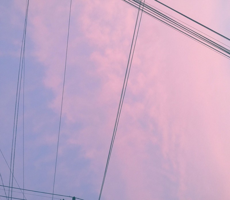 나는 아이폰으로 찍은 자연 사진 40 | 인스티즈