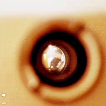 ㄱ일본에서 독방쓸때 지민이가 방송인거 말안하고 오라고 하니까 3분만에 뛰어온 전정국 | 인스티즈