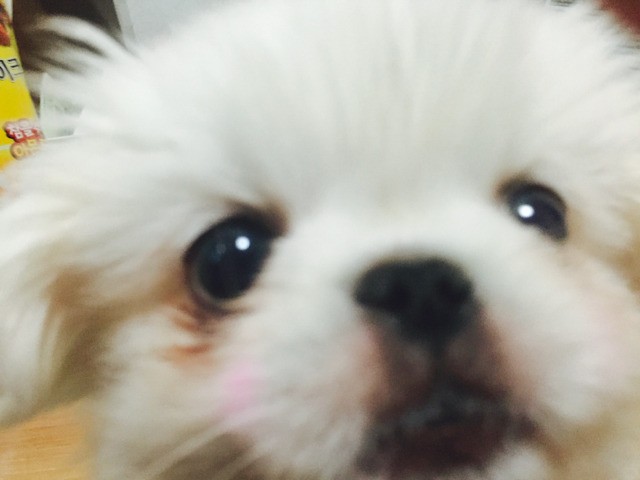 나도 우리 애기 진짜 어렸을때 40 | 인스티즈