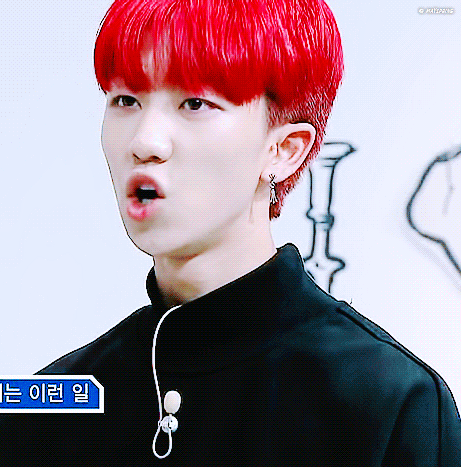 [세븐틴/남장물] 저는 남고생이고요, 제가 하고 있는 건 개고생입니다 | 인스티즈