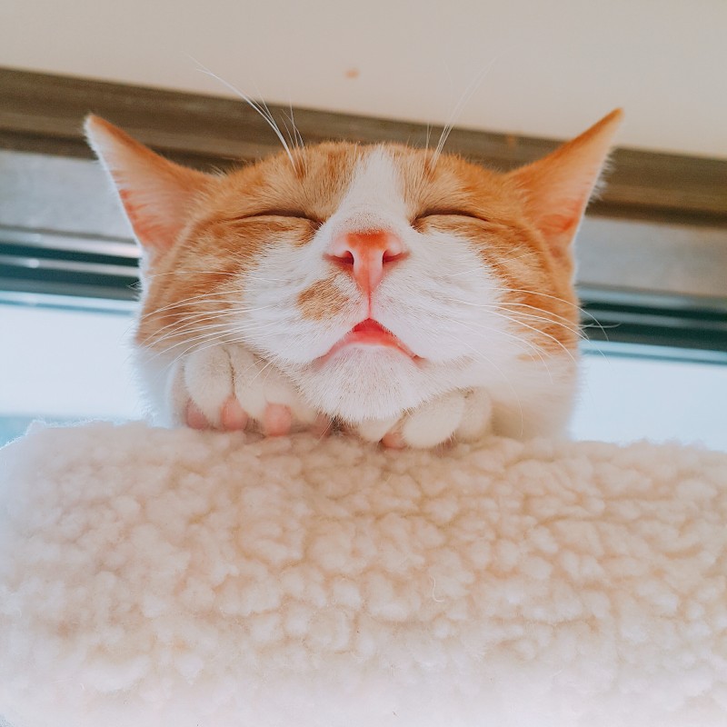 친구네 애기 자랑 4040 | 인스티즈