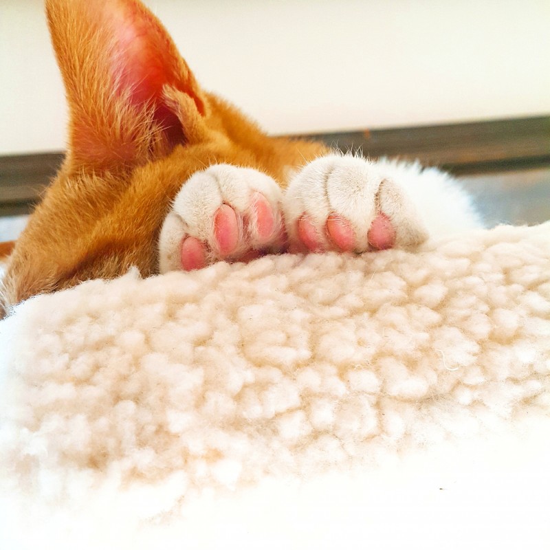 친구네 애기 자랑 4040 | 인스티즈