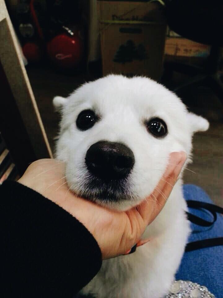 다들 우리 랩몬이 구경하고 가?? | 인스티즈