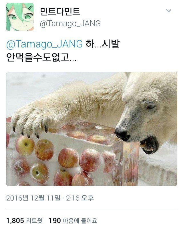 이거넘재밌다 ㅋㅋㅋㅋ | 인스티즈