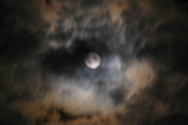 어렸을 때 찍은 달 사진 | 인스티즈