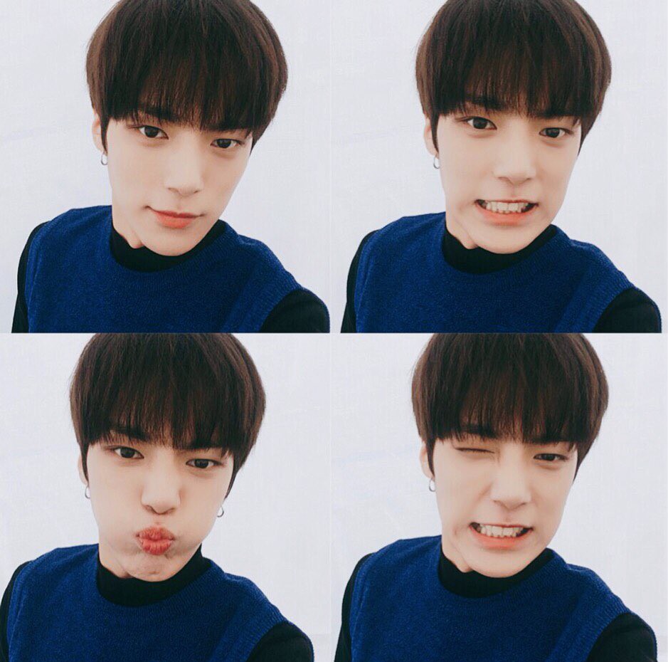 새벽이니 미모 장난아닌 내새끼 보고가세요ㅠㅠㅠㅠㅠㅠㅠㅠㅠㅠㅠㅠㅠ | 인스티즈