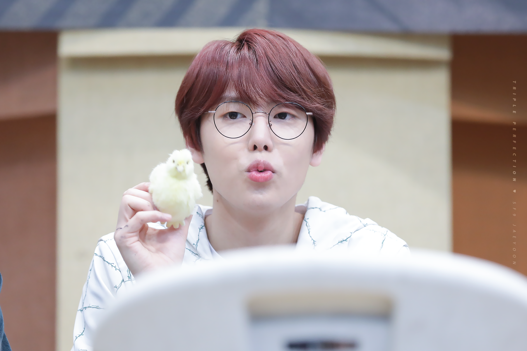 이재윤 넘나 좋아햇ㅠㅠㅠㅠㅠㅠ | 인스티즈