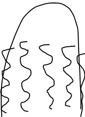 이런 머리 무슨 펌인지 아는 사람? | 인스티즈