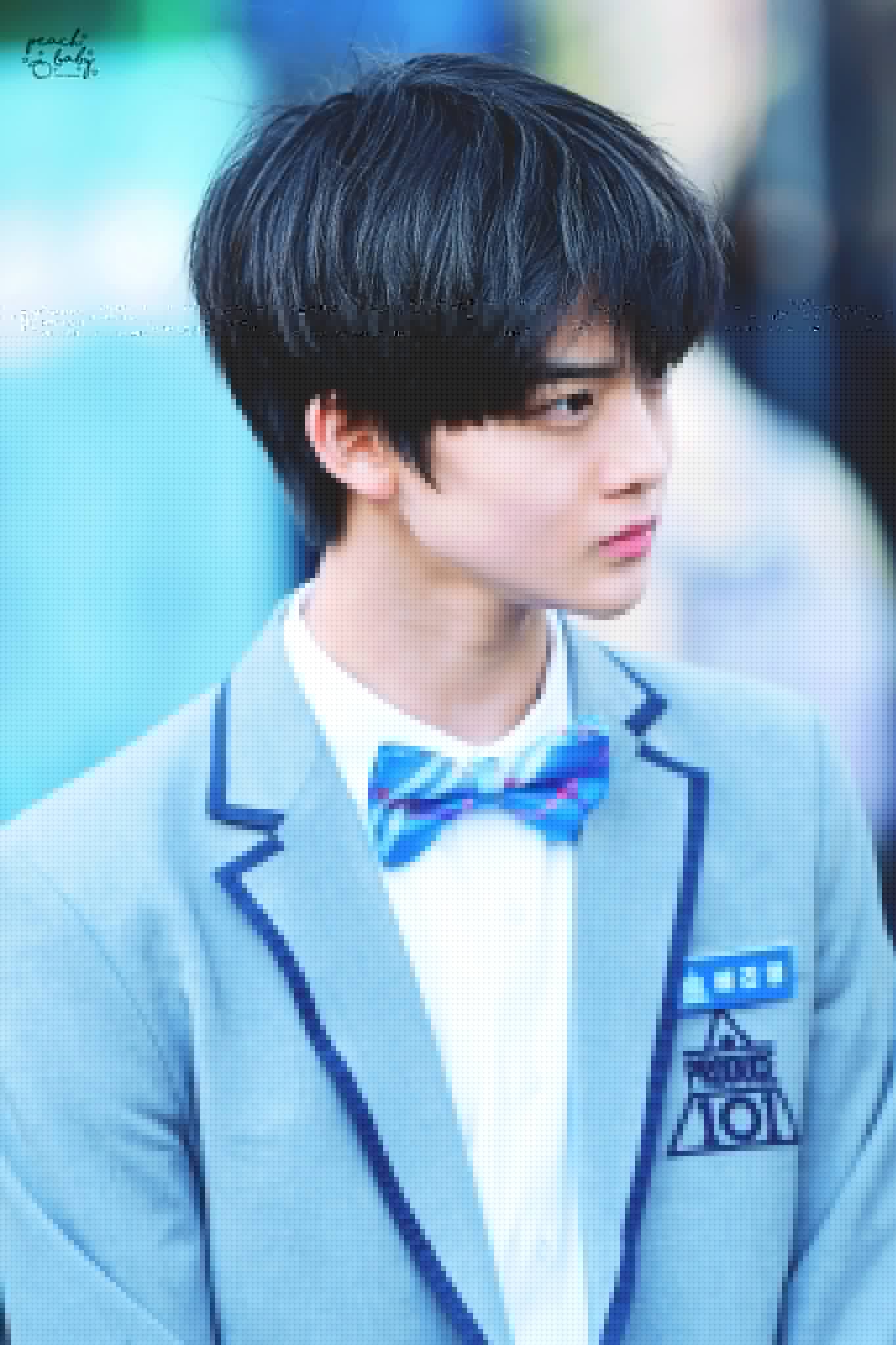 배진영이 뭔데 5위냐 하시는 분들 | 인스티즈