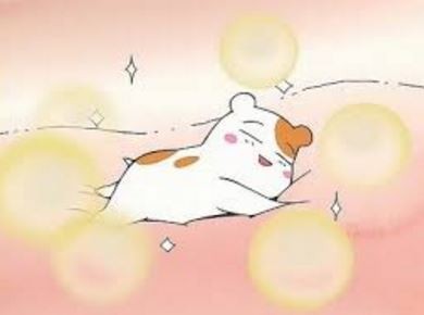 아 나 이제 나가야하는데 익인들 너무 재밍ㅆ어서 못나가겠자나 | 인스티즈