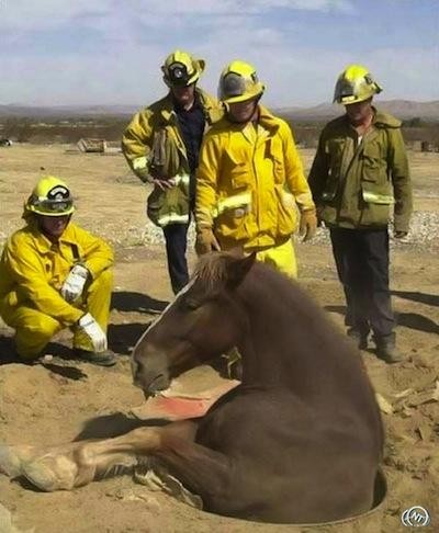ㅋㅋ.ㅋ..ㅋ.ㅋ나 맴놀하다가 커플됔ㅅ는데 헤어지고싶어..ㅋ.ㅋ... | 인스티즈