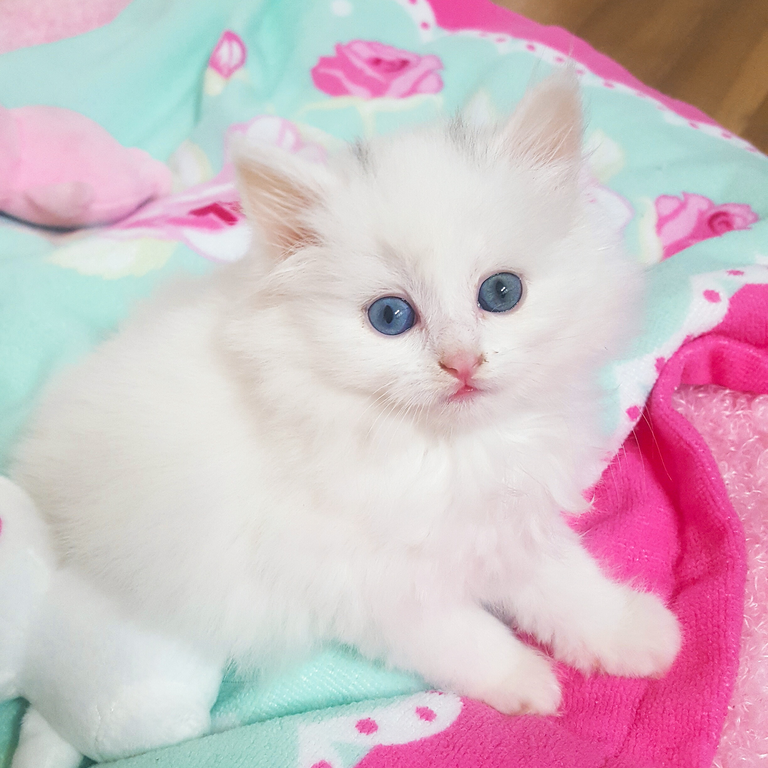 애기 보고싶은 사람~ | 인스티즈