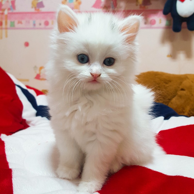 애기 보고싶은 사람~ | 인스티즈