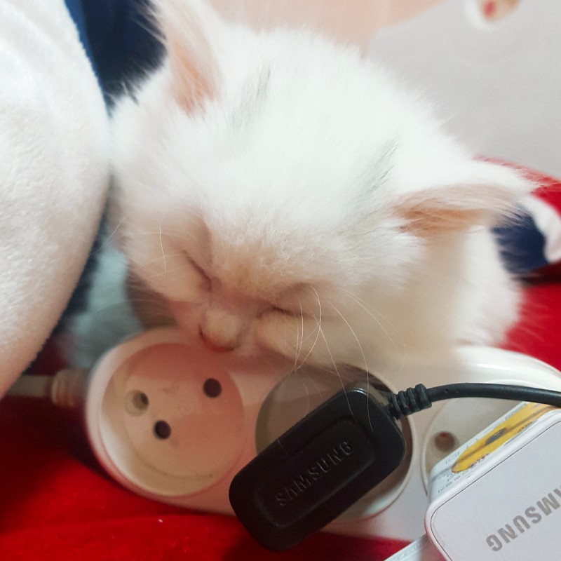 애기 보고싶은 사람~ | 인스티즈