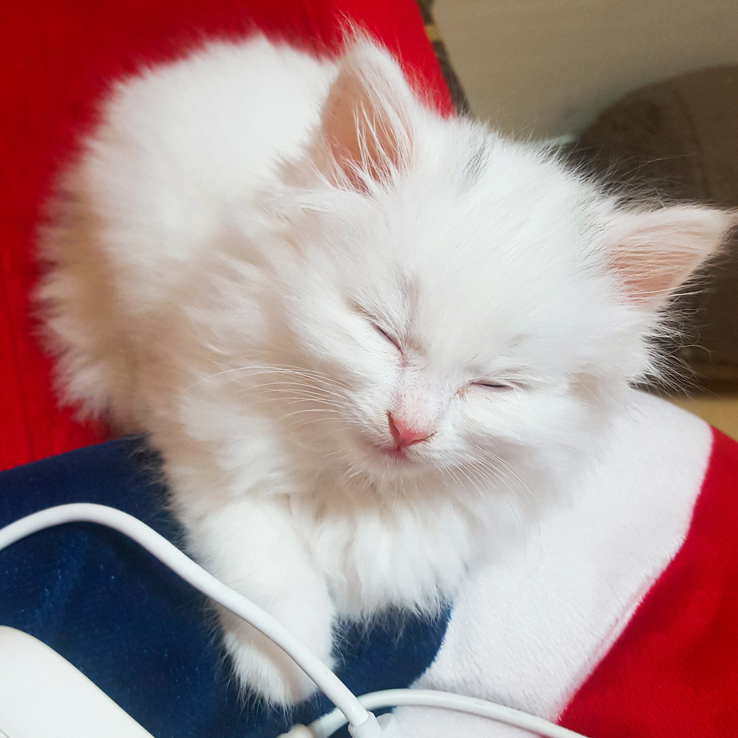 애기 보고싶은 사람~ | 인스티즈