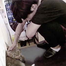 내가 본 부기 움짤 중 젤 치인 짤 베스트 쓰리 만 고르려 했는데 넣다보니 많아짐 | 인스티즈