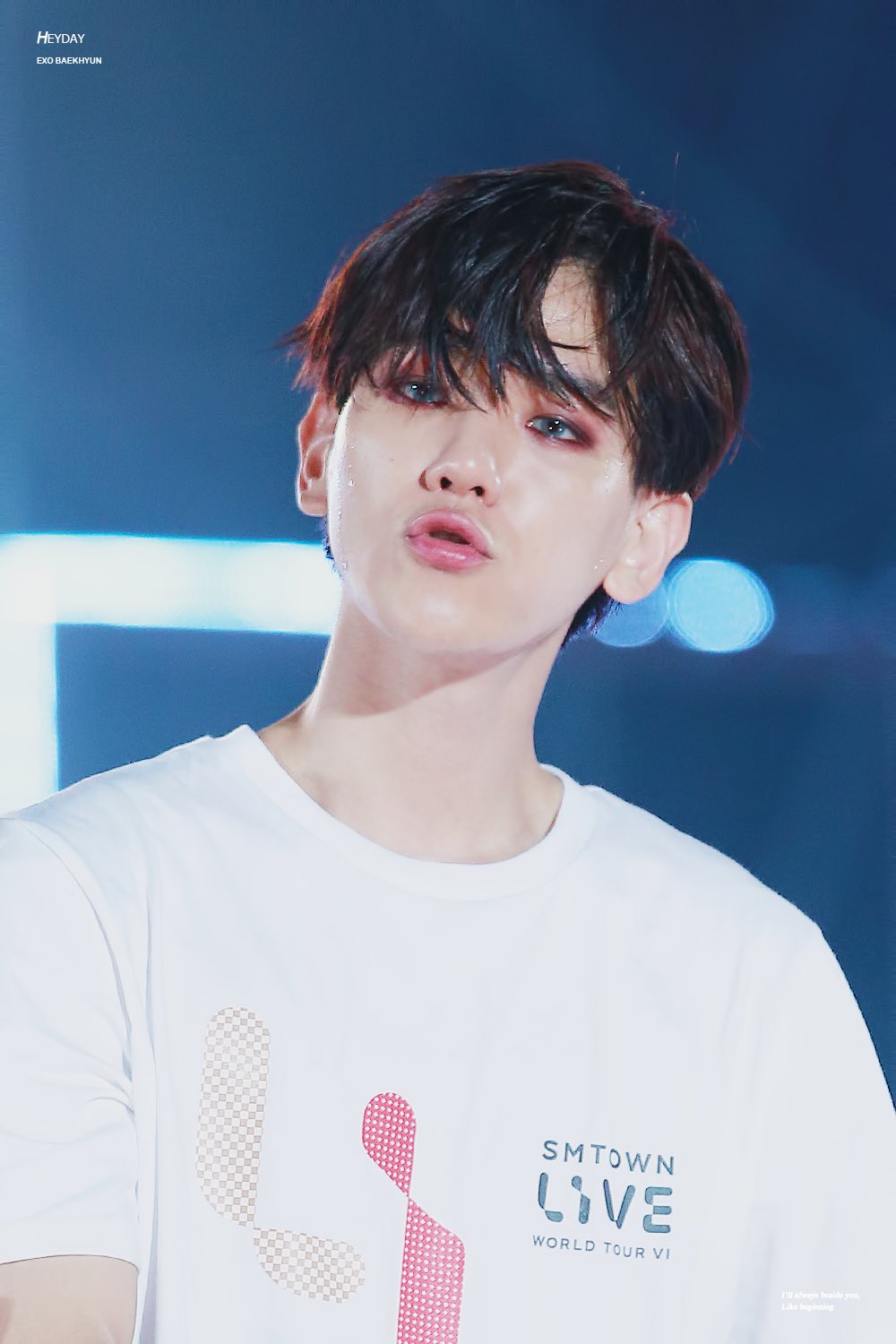 봉들아 | 인스티즈