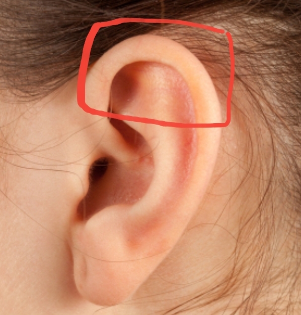 귀 위(윗부분)에 향수 뿌리는거 진짜 대박이다.. | 인스티즈